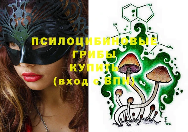 PSILOCYBIN Белоозёрский